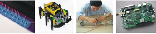 ciencias computacionales